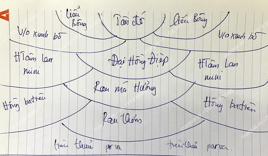 HƯỚNG DẪN SETUP VÀ CHĂM SÓC BỂ THỦY SINH THEO PHONG CÁCH HÀ LAN TỪ A-Z 3 B%E1%BB%91 c%E1%BB%A5c b%E1%BB%83 th%E1%BB%A7y sinh h%C3%A0 lan